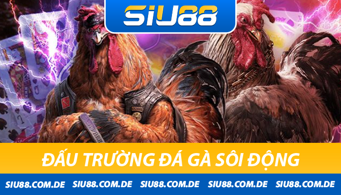 Cá cược đá gà Siu88 sôi động