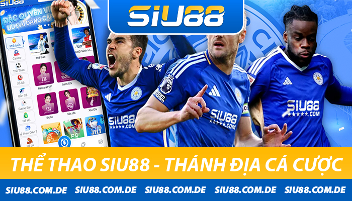 Kinh nghiệm cá cược thể thao Siu88